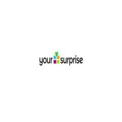 Your Surprise Your Surprise