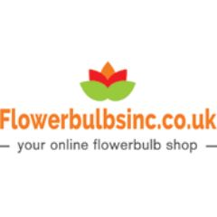 Flower Bulbs Flower Bulbs