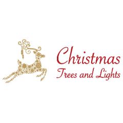 Christmas Trees And Lights Christmas Trees And Lights
